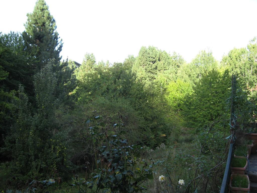 Apartmán Le Tre Rose Montagna Camigliatello Silano Pokoj fotografie